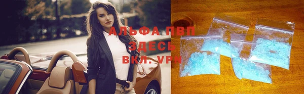 ПСИЛОЦИБИНОВЫЕ ГРИБЫ Гвардейск