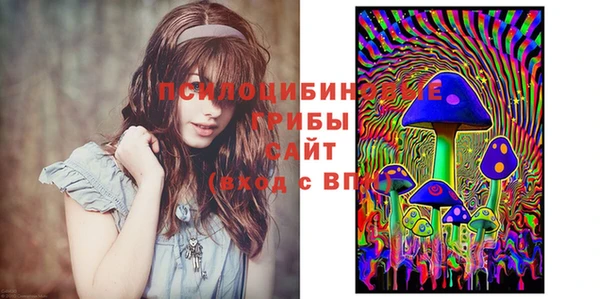 бошки Алексеевка