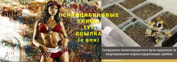 бошки Алексеевка
