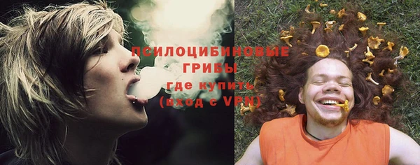 бошки Алексеевка