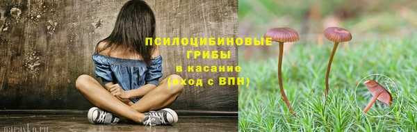 прущие крисы Алзамай